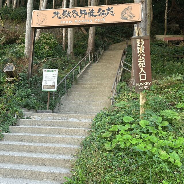 Nagano/Tokyo: Snow Monkey Private Day Tour At Lowest Rate - The Stops: A Deep Dive into Each Highlight