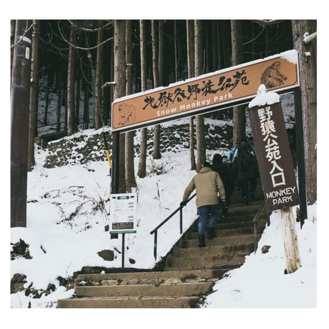 Nagano Tokyo: Snow Monkey Private Day Tour Hotel Pick & Drop - Who Would Enjoy This Tour?