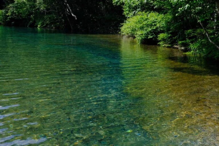 Nagano UNESCO Park: Emerald Acid Lake & Ghibli Onsen Town - Does It Offer Good Value?