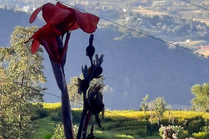 Nagarkot (2175m) Sunrise and Day Hike to Changunarayan Temple - Practical Tips for Making the Most of the Tour