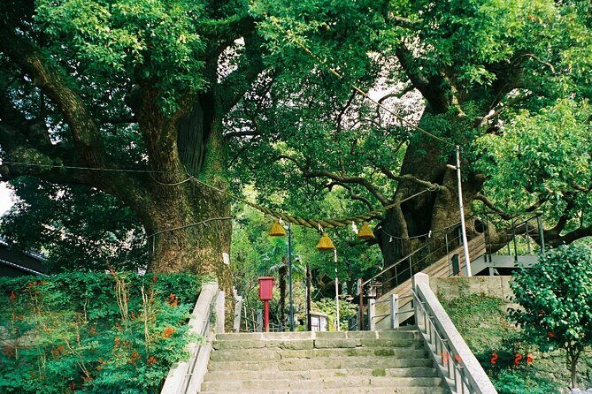 Nagasaki Peace Park and Atomic Bomb Museum - Final Thoughts