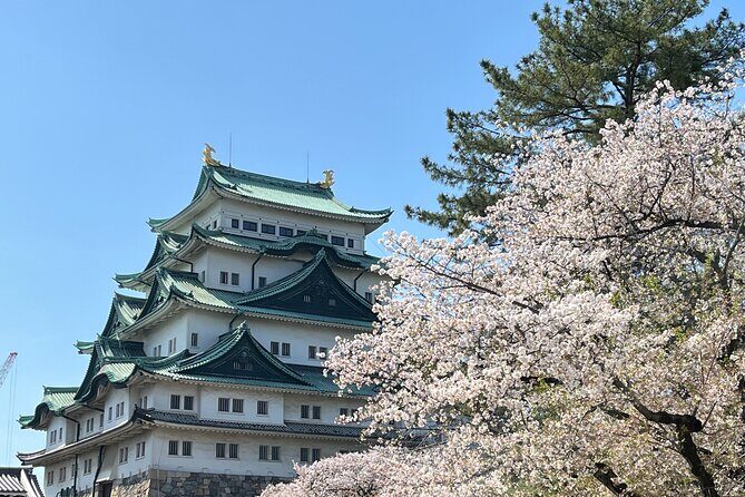 Nagoya: Best & Hidden Gems Private Guided Tour - Travel Logistics and Practical Tips