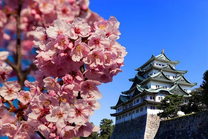 Nagoya Half Day Tour with a Local: 100% Personalized & Private - Detailed Breakdown of the Itinerary