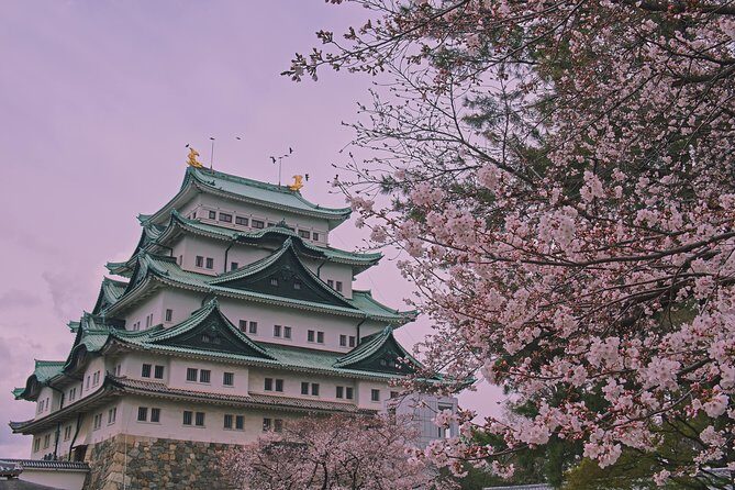 Nagoya Private Customizable Full Day Tour - Nagoya Castle: A Historic Landmark