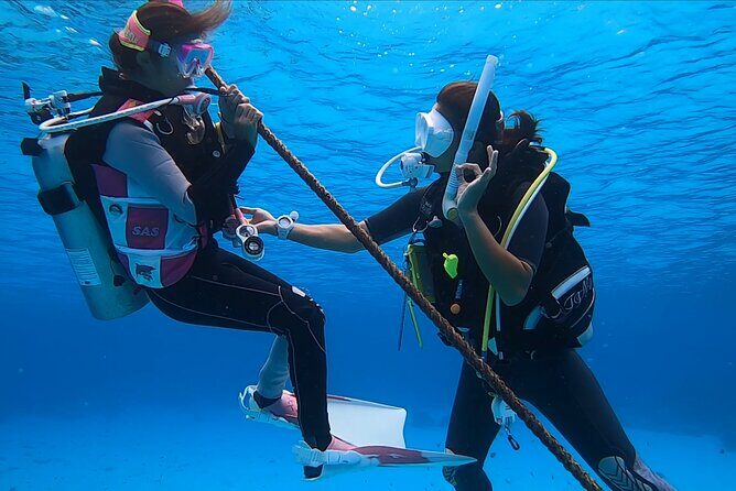 Naha: Full-Day Introductory diving & Snorkeling in the Kerama Islands, Okinawa - Final Thoughts: Who Should Consider This Tour?
