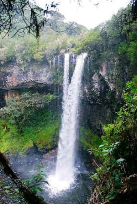 Nairobi: 3-Day Aberdare National Park Safari - Exploring the Waterfalls and Highland Trails