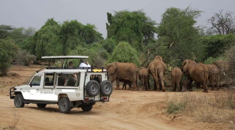 Nairobi: 3-Day All-Inclusive Samburu National Park Safari - The Experience: What Travelers Say and What to Expect