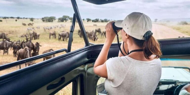 Nairobi: 3-Day Masai Mara Game Reserve Safari with Flights - The Value and Experience: What This Tour Offers