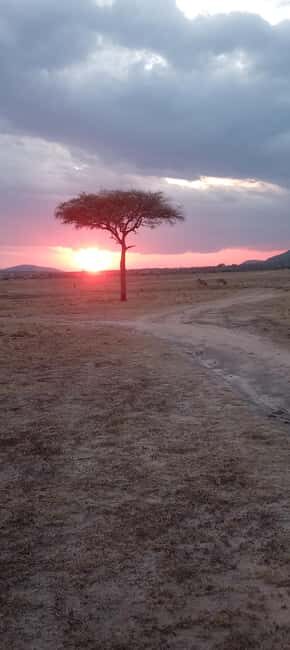 Nairobi: 3 Days Safari in Kenya - Practical Considerations & Recommendations