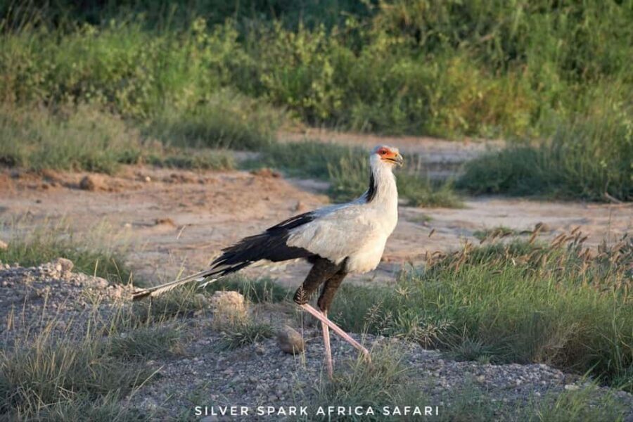 Nairobi: 4-Day Game Safari to Maasai Mara and Lake Naivasha - The Practicalities: Whats Included and Whats Not