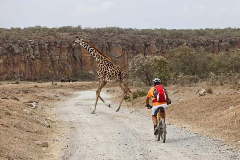 Nairobi: 4-Day Masai Mara, Lake Naivasha & Hell's Gate Tour - What’s Included and What’s Not?