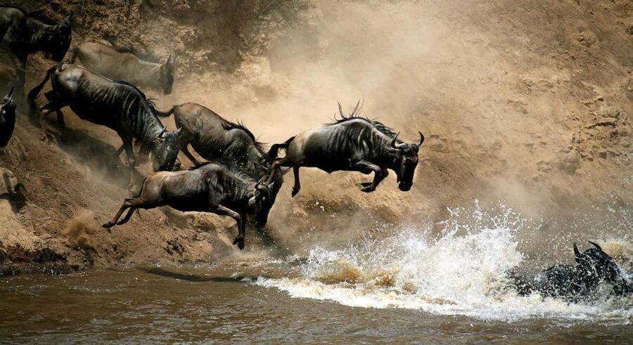 Nairobi: 4 Days Masai Mara & Lake Nakuru 4WD Camping Safari