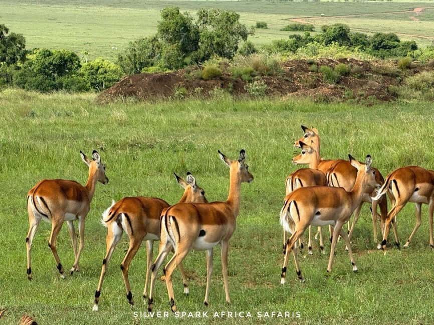 Nairobi: 5-Day Hells Gate, Lake Naivasha and Amboseli Parks - The Value Proposition