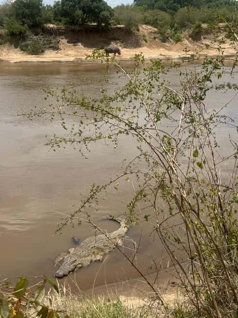 Nairobi: 5-Day Masai Mara, Nakuru and Naivasha Safari - Exploring the Itinerary in Detail