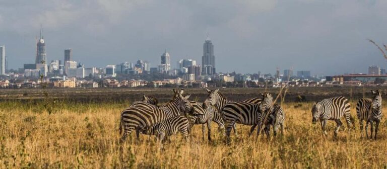 Nairobi Airport Layover: Tour Nairobi National Park- 4 hours - Who Should Consider This Tour?