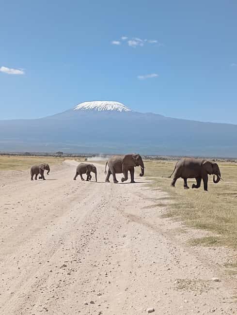 Nairobi: Amboseli National Park and Maasai Village Day Trip - Visiting a Maasai Village