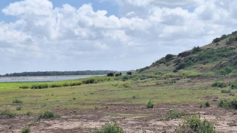 Nairobi: Amboseli National Park Day Trip with Game Drives - The Practical Details: What’s Included and What to Know