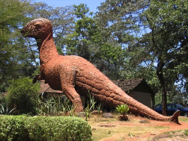 Nairobi City Experience Tour - Authenticity and Experience