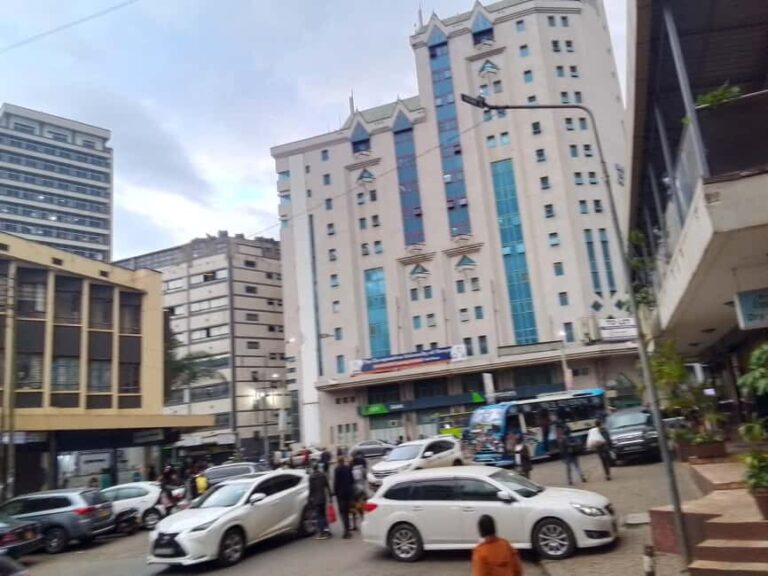 Nairobi City Guided Tour - Why This Tour Represents Good Value