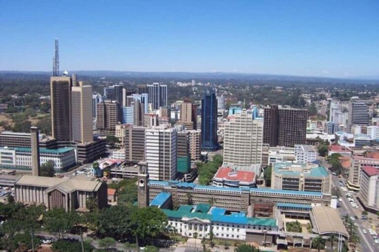 Nairobi: City Tour with Nairobi National Museum Visit - Who Will Appreciate This Tour?
