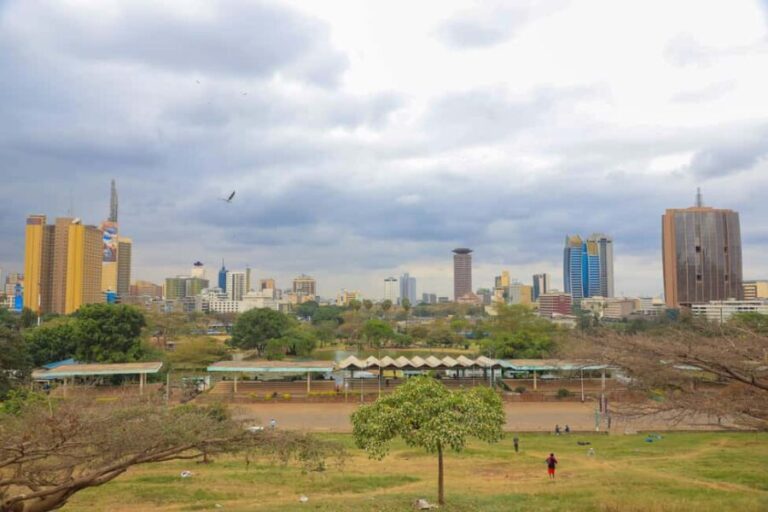 Nairobi City Walking Tour (Two Hours) - The Itinerary: What to Expect