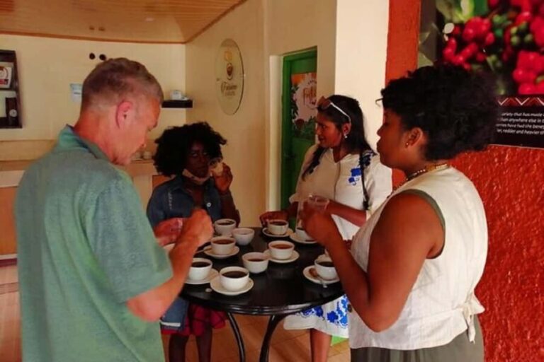 Nairobi: Coffee Factory and Farm Tour - The Value of the Experience