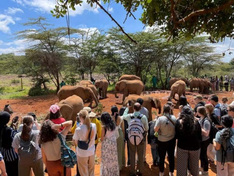 Nairobi: David Sheldrick, Giraffe Center & Kobe Beads - Navigating the Tour: What You Can Expect