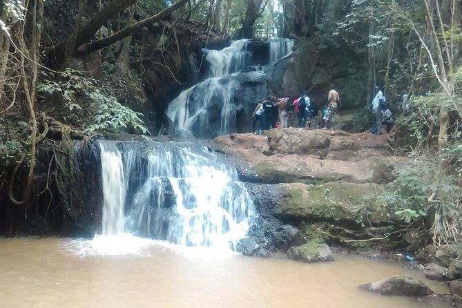 Nairobi Day Tour to Karura Forest Hike, Trail Bike & Nature Walk - The Value of Guided Tours and Active Exploration