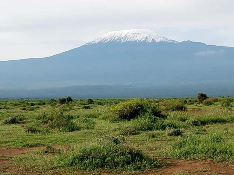 Nairobi: Day Trip to Amboseli National Park - What’s Included and What’s Not
