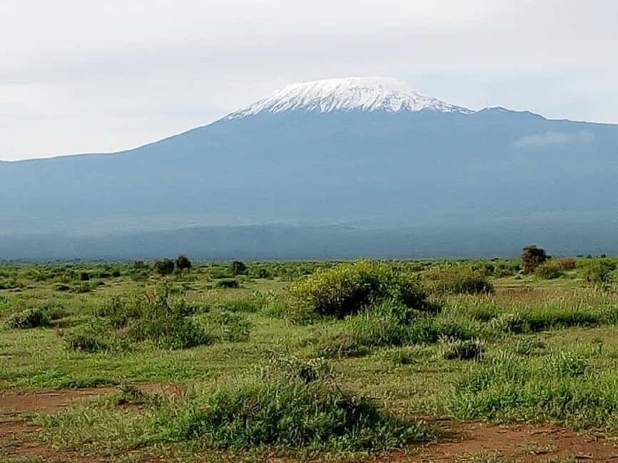 Nairobi: Day Trip to Amboseli National Park - What’s Included and What’s Not