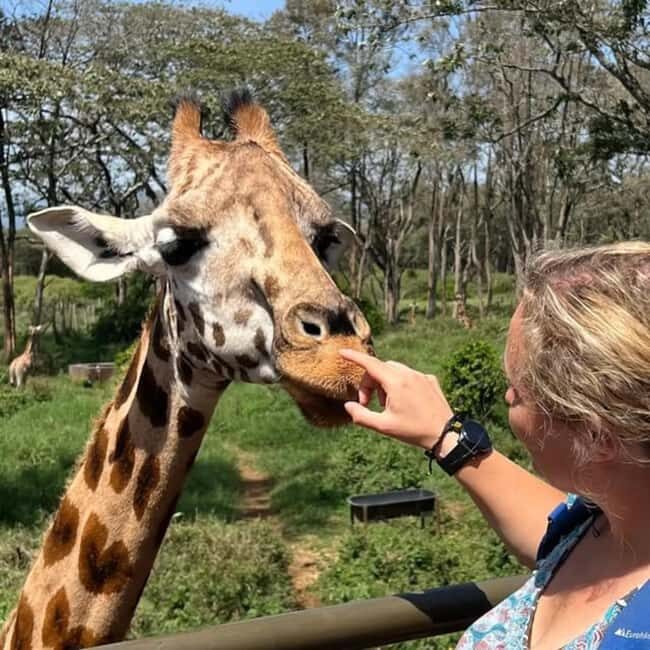 Nairobi: Elephant Orphanage and Giraffe Center Half-Day Tour - Who Should Consider This Tour?