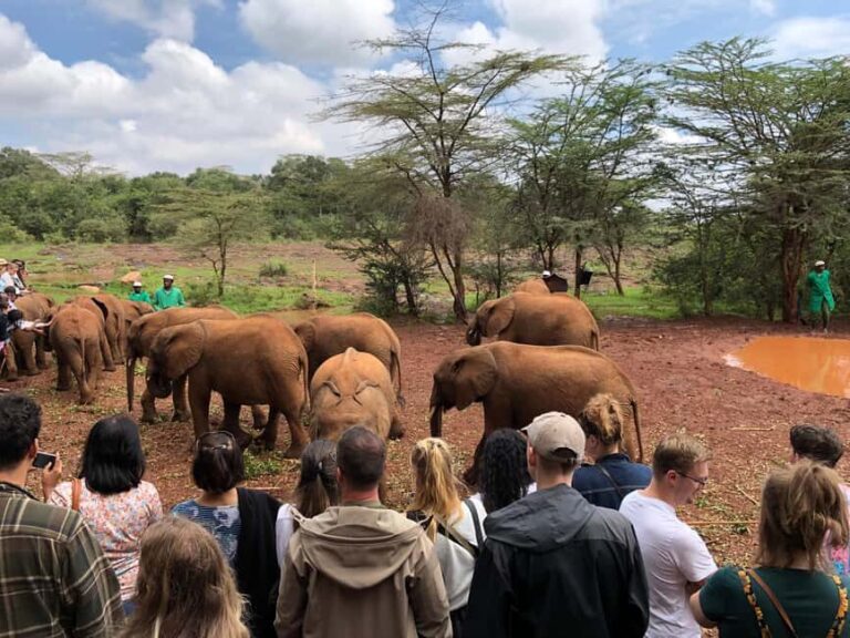 Nairobi: Elephant Sanctuary and Giraffe Center Day Tour - Final Thoughts – Who Will Love This Tour?