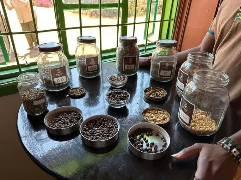 Nairobi: Fairview Coffee Estate Tour with Coffee Tasting - Final Thoughts