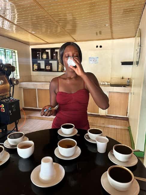 Nairobi: Fairview Coffee Estate Tour with Transfers - Practical Info and Tips for Visitors