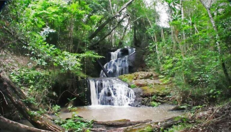 Nairobi: From Nairobi-Karura Forest Guided Walking Tour - FAQ
