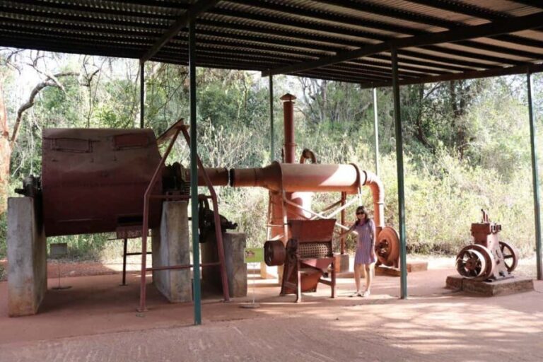 Nairobi Giraffe Center Tour with Karen Blixen & Kobe Beads" - Why This Tour Offers Great Value