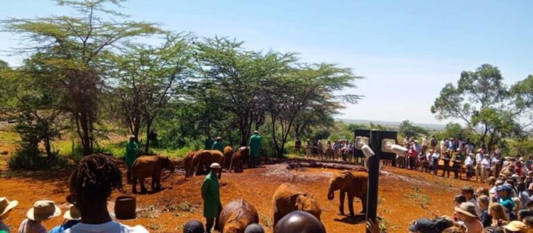 Nairobi: Giraffe Centre, Elephants, and Karen Blixen Museum - Frequently Asked Questions