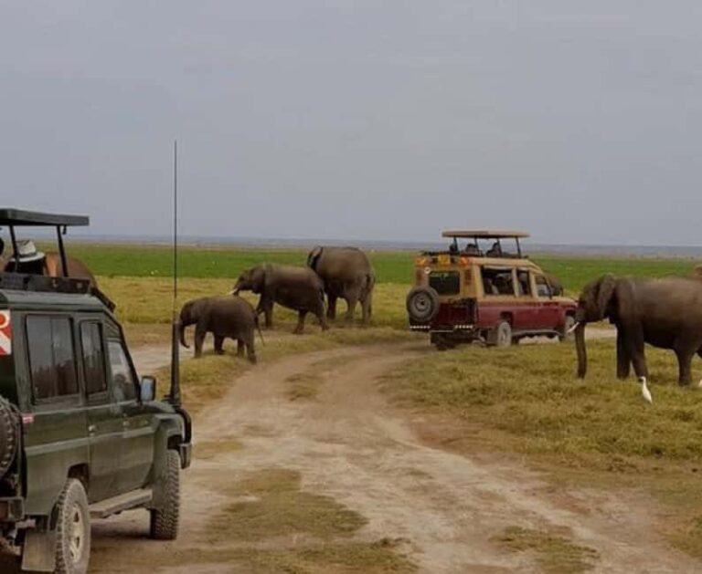 Nairobi: Lake Nakuru National Park - Who Should Consider This Tour?