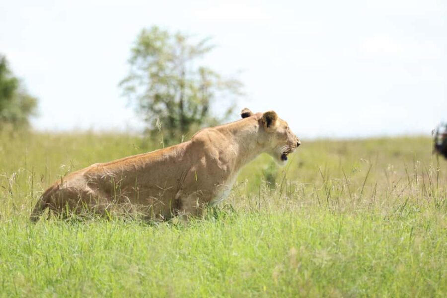 Nairobi: Maasai Village Day Trip with Guided Tour. AW - Who Is This Tour Best For?