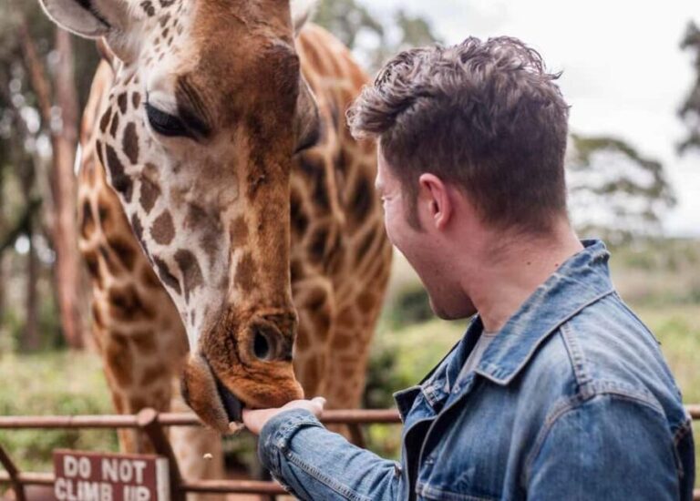 Nairobi: Museum, KICC, Giraffe Centre & Bomas of Kenya Tour - Transportation and Group Size