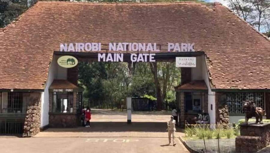 Nairobi: Nairobi National Park Half-Day Guided Game Drive - Practical Tips