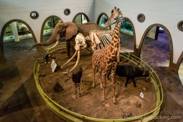 Nairobi National Museum and Snake Park Guided Day Tour - Final Thoughts