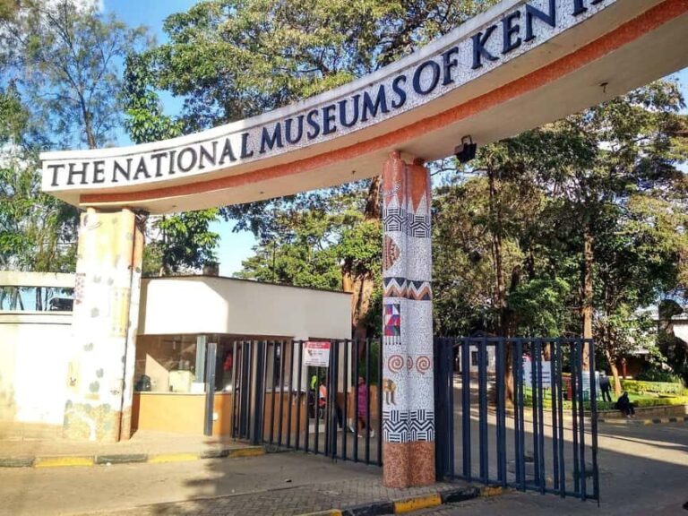 Nairobi National Museum Guided Tour - The Practical Side: What to Expect