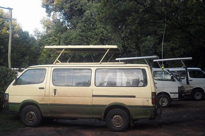 Nairobi National Park 1.p.m Game Drive - An in-depth look at what this safari offers