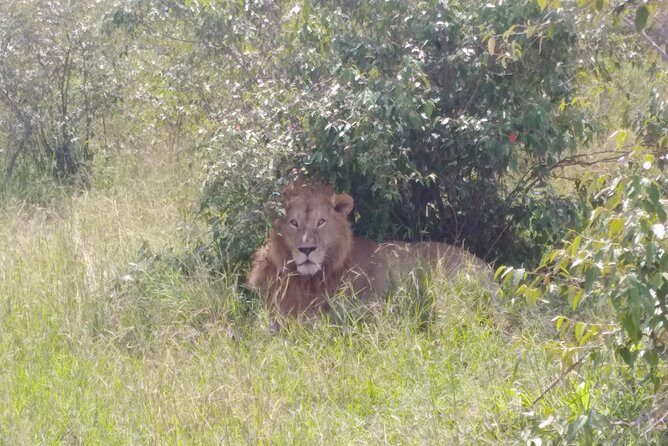 Nairobi National park - The Sum Up: Who Is This Tour Best For?