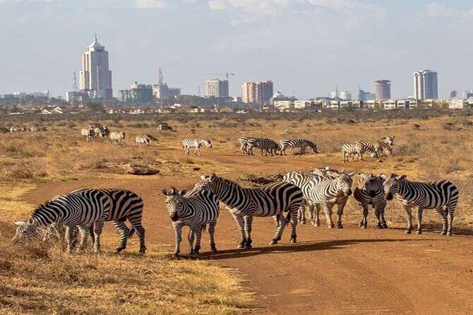 Nairobi National Park and Giraffe Center from Kenya with a Guide - What’s Included and What’s Not