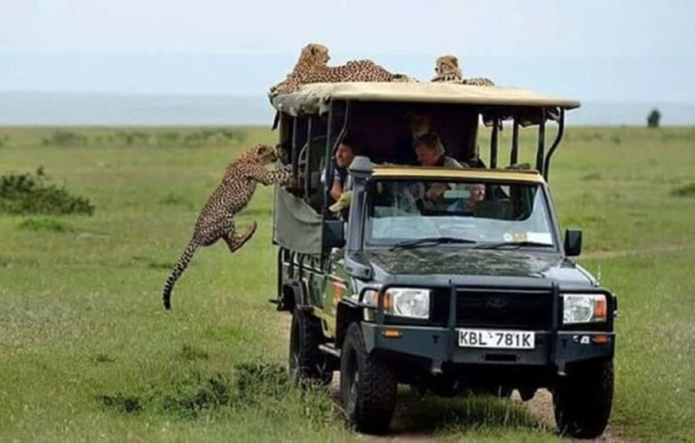 Nairobi National Park David Sheldrick Giraffe center - What You Should Know Before Booking