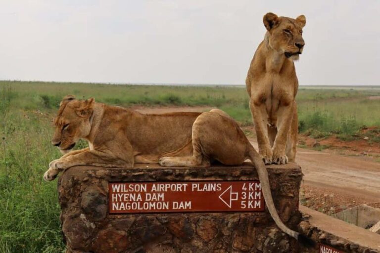 Nairobi National Park, Elephant Orphanage and Giraffe Centre - Practical Tips for Travelers