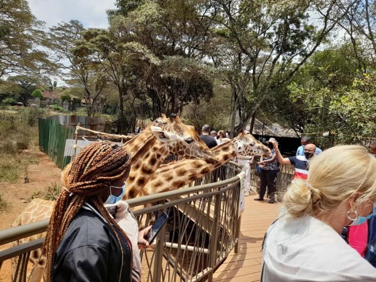 Nairobi: National Park, Elephant Orphanage, and Giraffe Tour - What to Expect from the Day