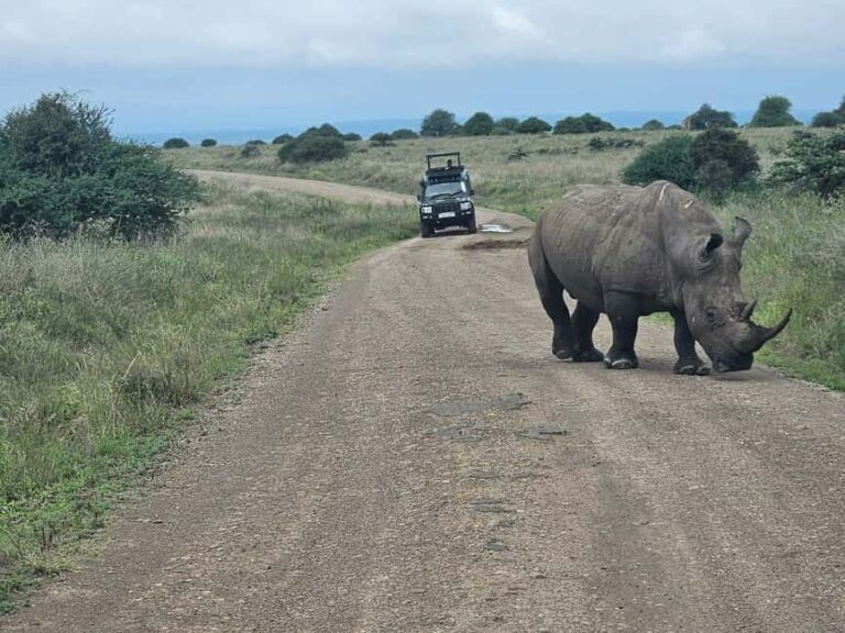 Nairobi: National Park, Elephant Orphanage & Giraffe Center - Final Thoughts: Who Is This Tour For?